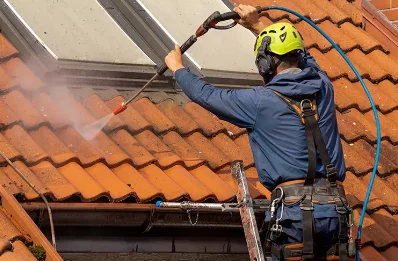 Démoussage et hydrofuge de toiture à Targasonne